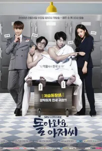 Возвращайтесь, мистер (сериал 2016)